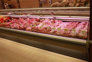 compact refrigerated counter for small shops