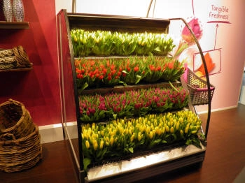 ecological refrigerated shelving with R290